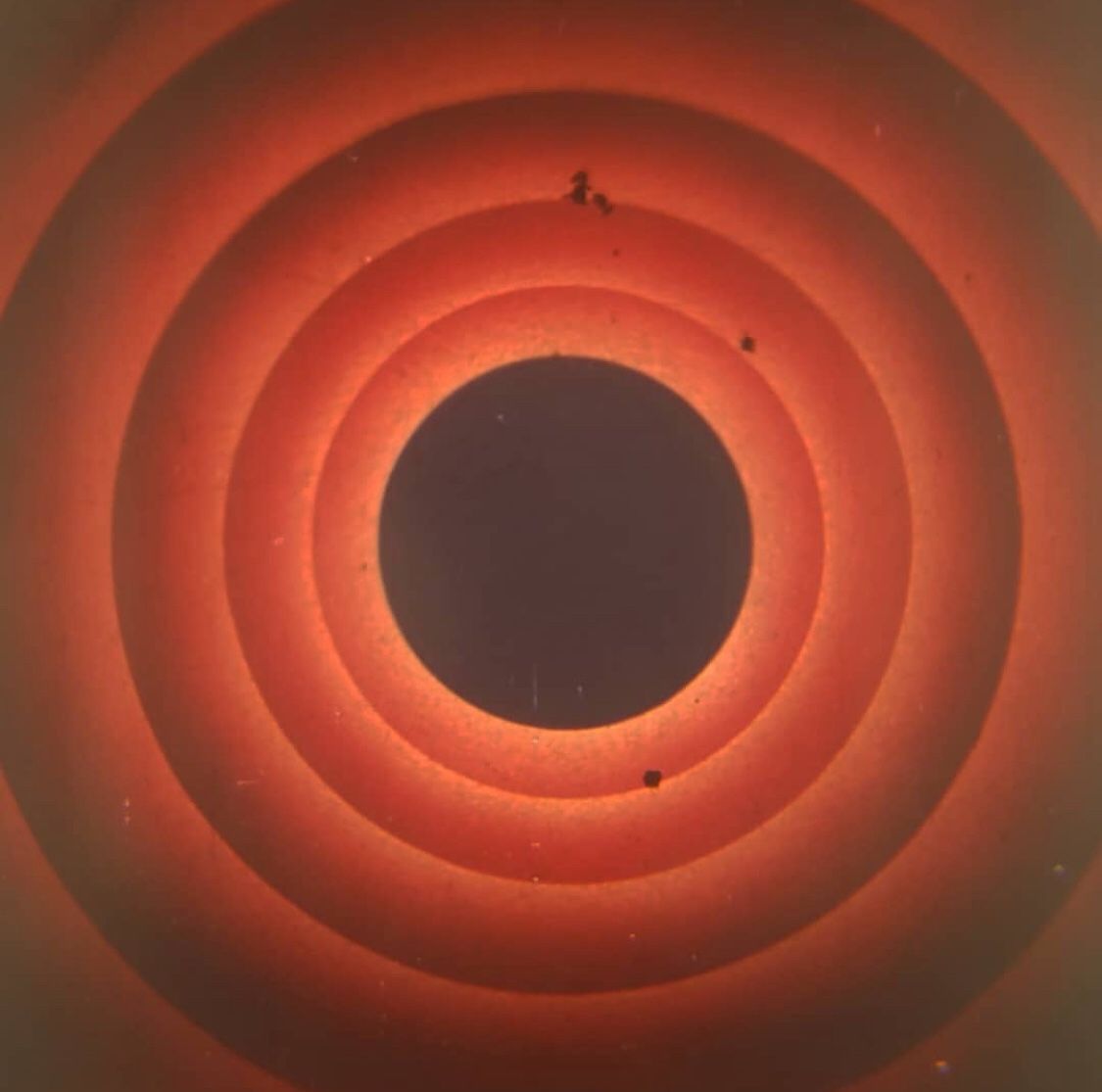 mirrored image from https://66.media.tumblr.com/7bef19e7953399d7b1aee62a1bc83b49/tumblr_pceor29wLK1qja9fro1_1280.jpg without alt text, sorry