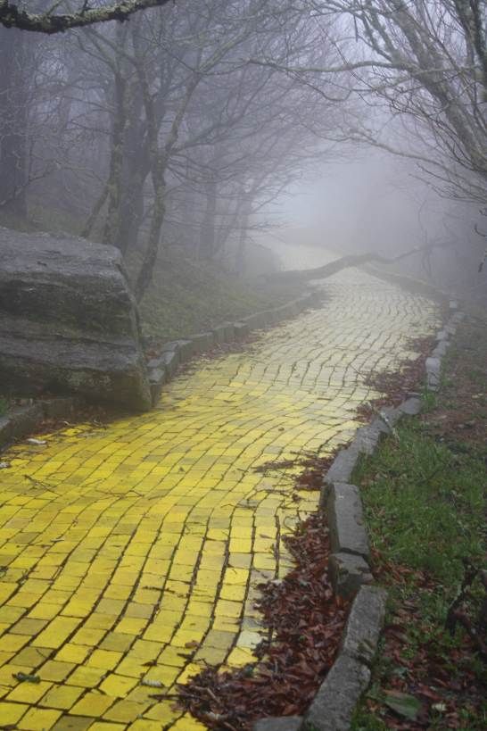 mirrored image from https://66.media.tumblr.com/5c5742c42b28a6aafc8983d33bfd75b1/tumblr_mrn2q69iR41s5cyzso1_640.jpg without alt text, sorry