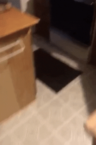 mirrored image from https://66.media.tumblr.com/b4a4d1aab160e5a6160b06c7e9f6d93e/tumblr_pc2vpeJj111xoyw8po1_400.gif without alt text, sorry